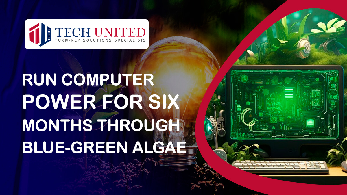 Run Computer Power for Six Months Through Blue-Green Algae